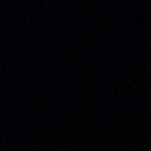 Meet your Posher, Gavin